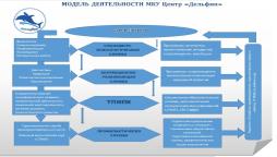 Модель структуры и органов управления МКУ Центр "Дельфин"